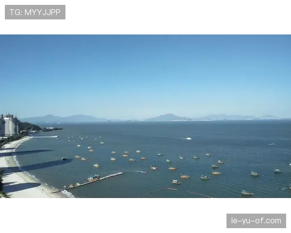 吉马良斯状态回暖，未来发展前景广阔引关注