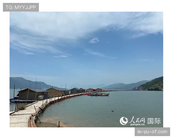 伊尼亚基职业轨迹：从新星到领袖的华丽转身引关注